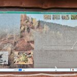 IMG_20260703_113248