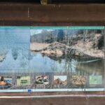 IMG_20260717_105715