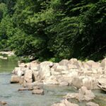 Rezerwat "Sine Wiry"