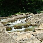 Rezerwat "Sine Wiry"