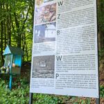 IMG_20260717_132452