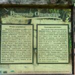 IMG_20260726_131732