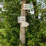 IMG_20260825_182310
