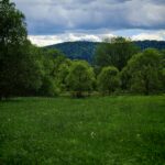 Widok na Jeleniowaty z Dźwiniacza