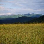 Widok na Bieszczady znad Lutowisk