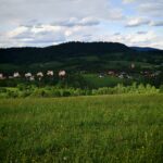 Lutowiska