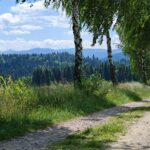 Widok na bieszczadzkie połoniny