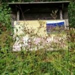 IMG_20260825_143051